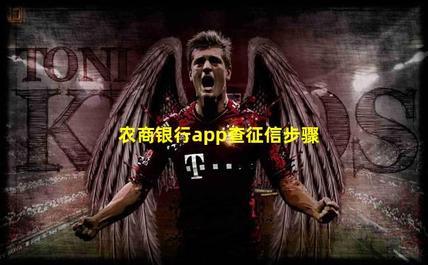 农商银行app查征信步骤