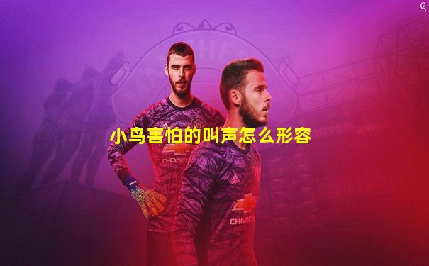小鸟害怕的叫声怎么形容