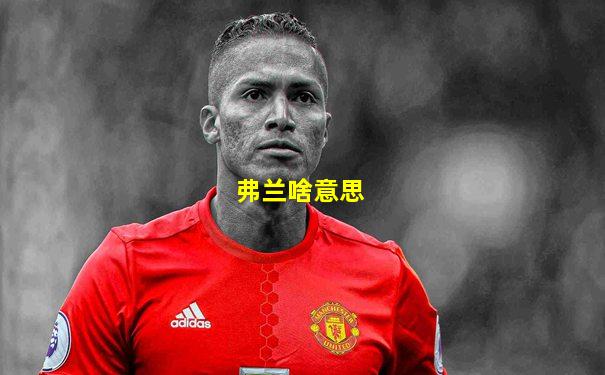 弗兰啥意思
