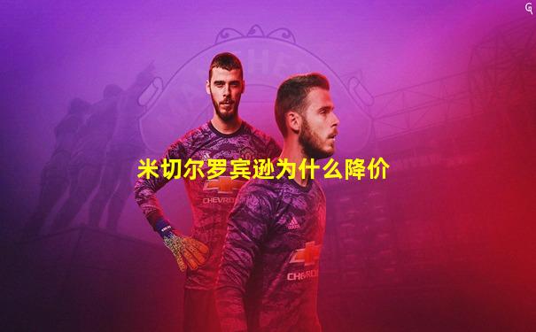米切尔罗宾逊为什么降价