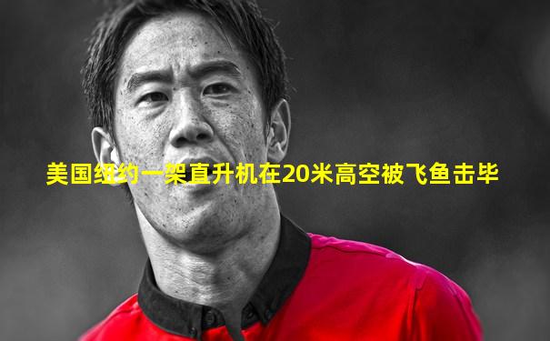 美国纽约一架直升机在20米高空被飞鱼击毕