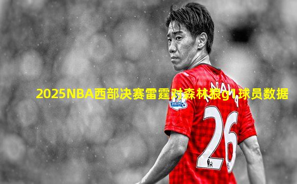 2025NBA西部决赛雷霆对森林狼g1球员数据