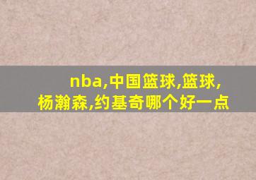 nba,中国篮球,篮球,杨瀚森,约基奇哪个好一点