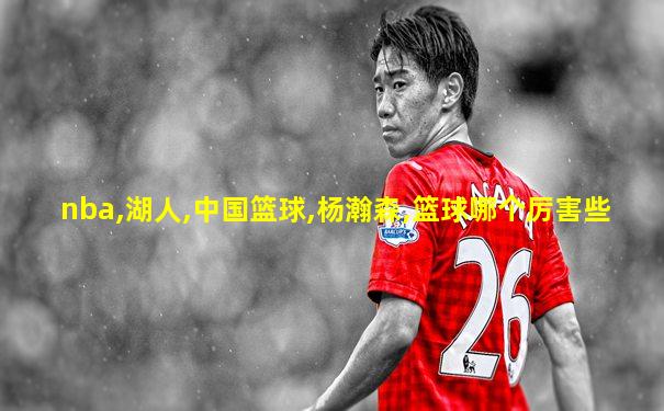 nba,湖人,中国篮球,杨瀚森,篮球哪个厉害些
