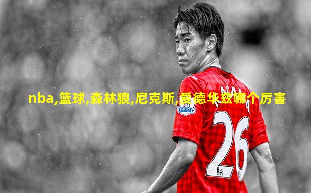 nba,篮球,森林狼,尼克斯,爱德华兹哪个厉害
