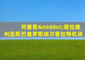 何塞普·塔拉德利亚斯巴塞罗那埃尔普拉特机场