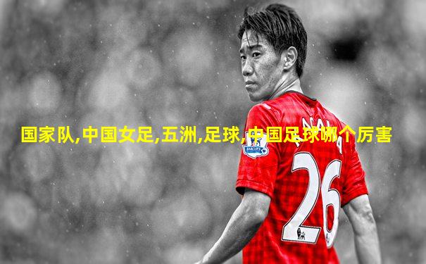国家队,中国女足,五洲,足球,中国足球哪个厉害