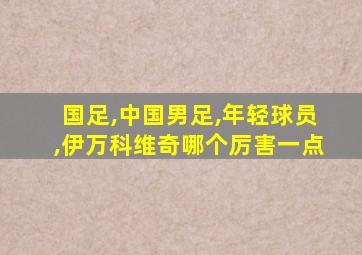 国足,中国男足,年轻球员,伊万科维奇哪个厉害一点
