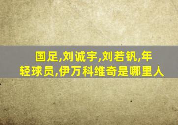 国足,刘诚宇,刘若钒,年轻球员,伊万科维奇是哪里人