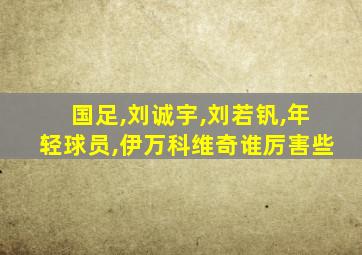 国足,刘诚宇,刘若钒,年轻球员,伊万科维奇谁厉害些