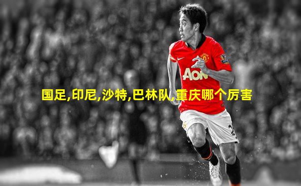 国足,印尼,沙特,巴林队,重庆哪个厉害