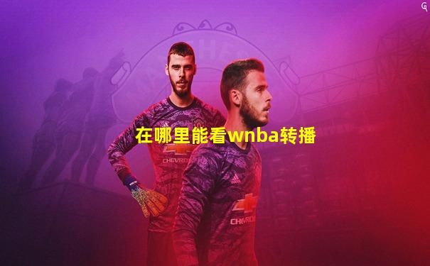 在哪里能看wnba转播