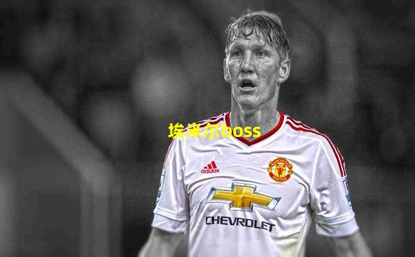 埃米尔boss