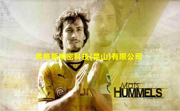 弗格斯精密科技(昆山)有限公司