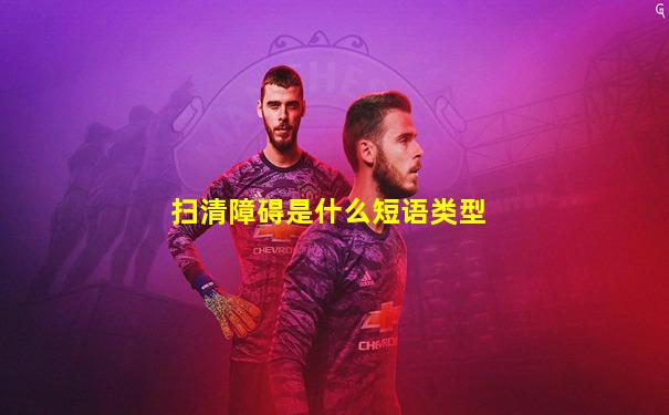 扫清障碍是什么短语类型