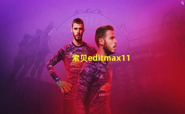 索贝editmax11