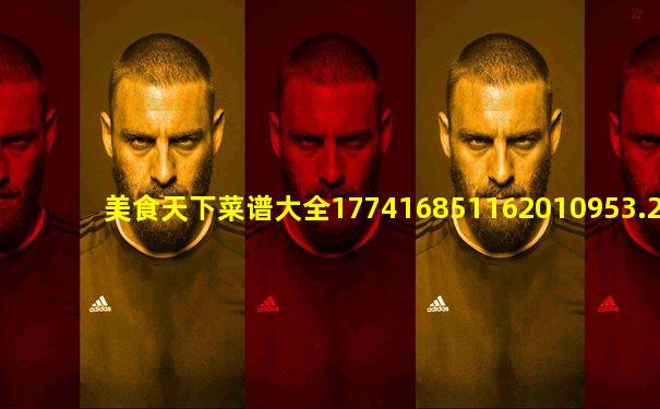 美食天下菜谱大全177416851162010953.2330.00563698
