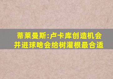 蒂莱曼斯:卢卡库创造机会并进球啥会给树灌根最合适