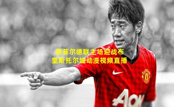 谢菲尔德联主场迎战布里斯托尔城动漫视频直播