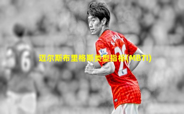 迈尔斯布里格斯类型指标(MBTI)