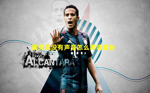 麦克风没有声音怎么弄调音台